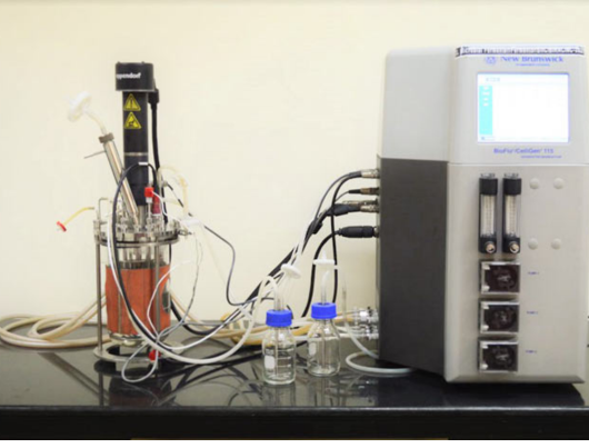 Microbial Lab